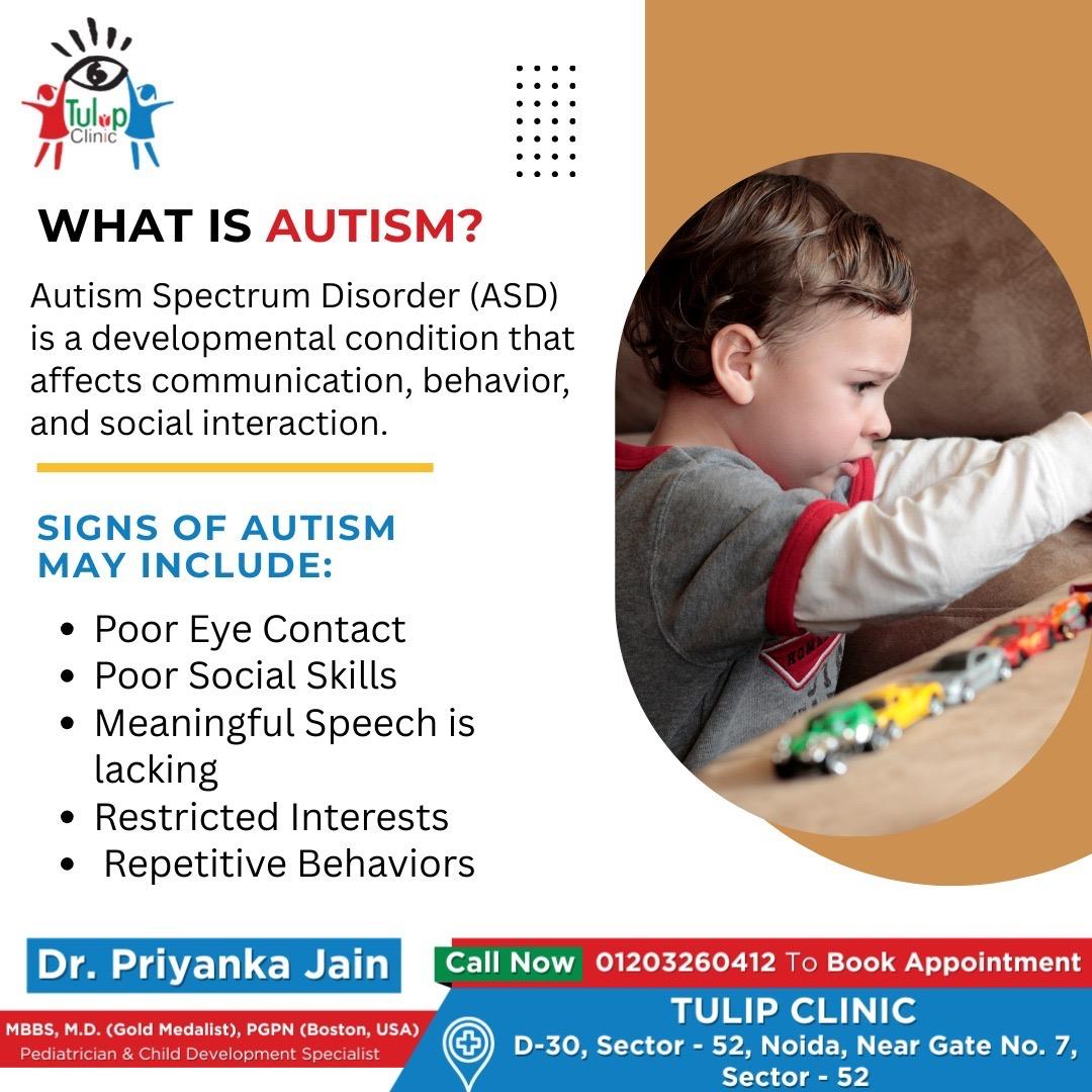 Understanding Autism